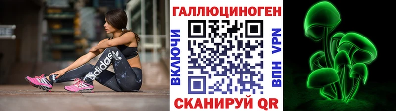 Псилоцибиновые грибы Cubensis  Можга 